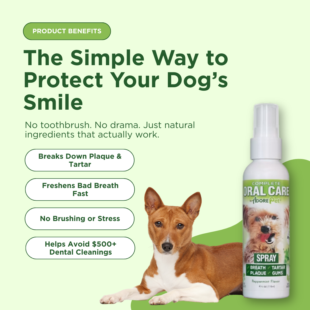 Adore Pet oral care spray bottle with nozzle for freshening pet's breath and maintaining oral hygiene.