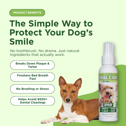 Adore Pet oral care spray bottle with nozzle for freshening pet's breath and maintaining oral hygiene.