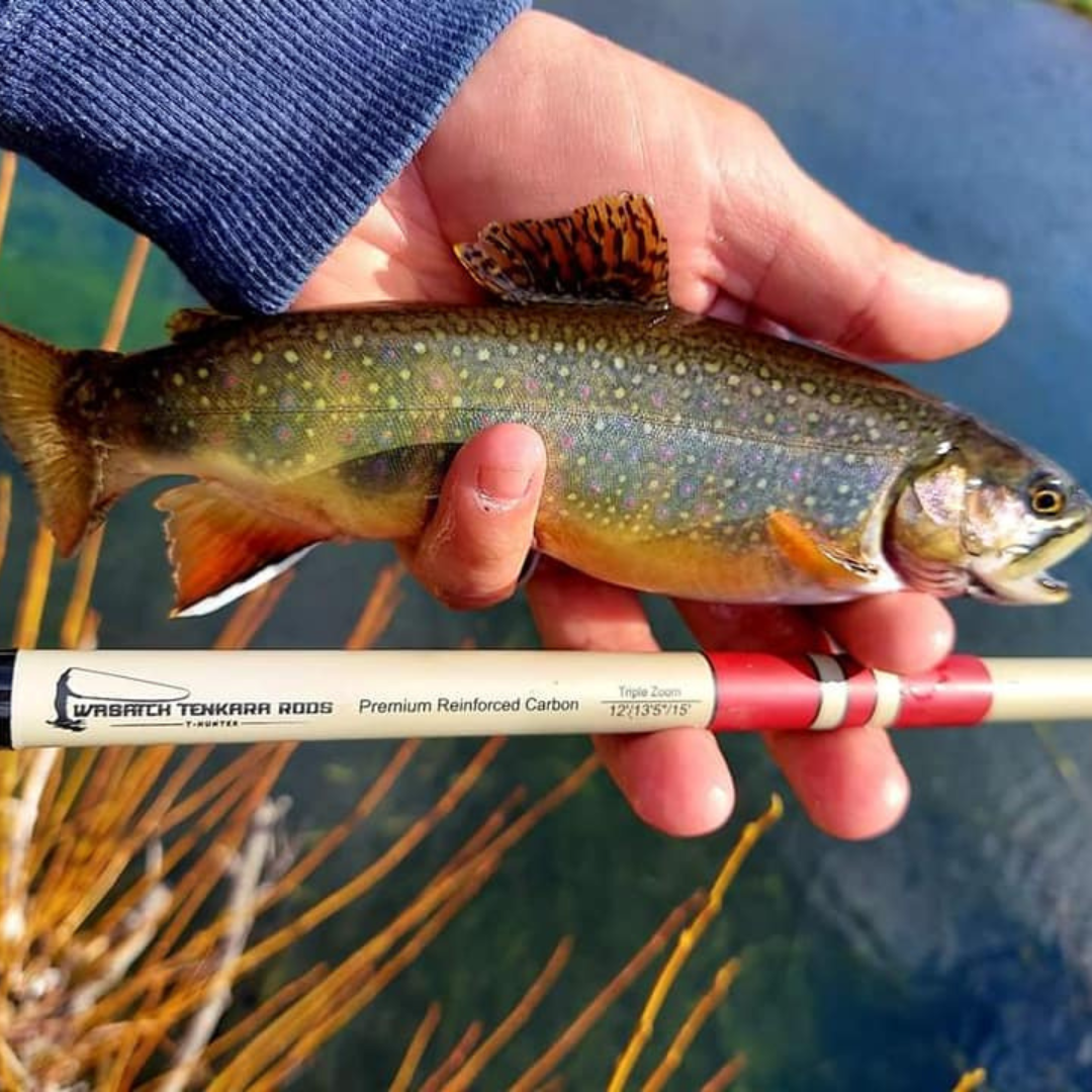 Wasatch Tenkara T-Hunter Daikyu Tenkara rod with cork handle and lightweight design, ideal for freshwater fly fishing.