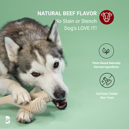 BetterBone Moderate Beef Flavor Dog Chew Toy from BetterBone All Natural Eco-Friendly Dog Chews & Bones, designed for medium dogs.