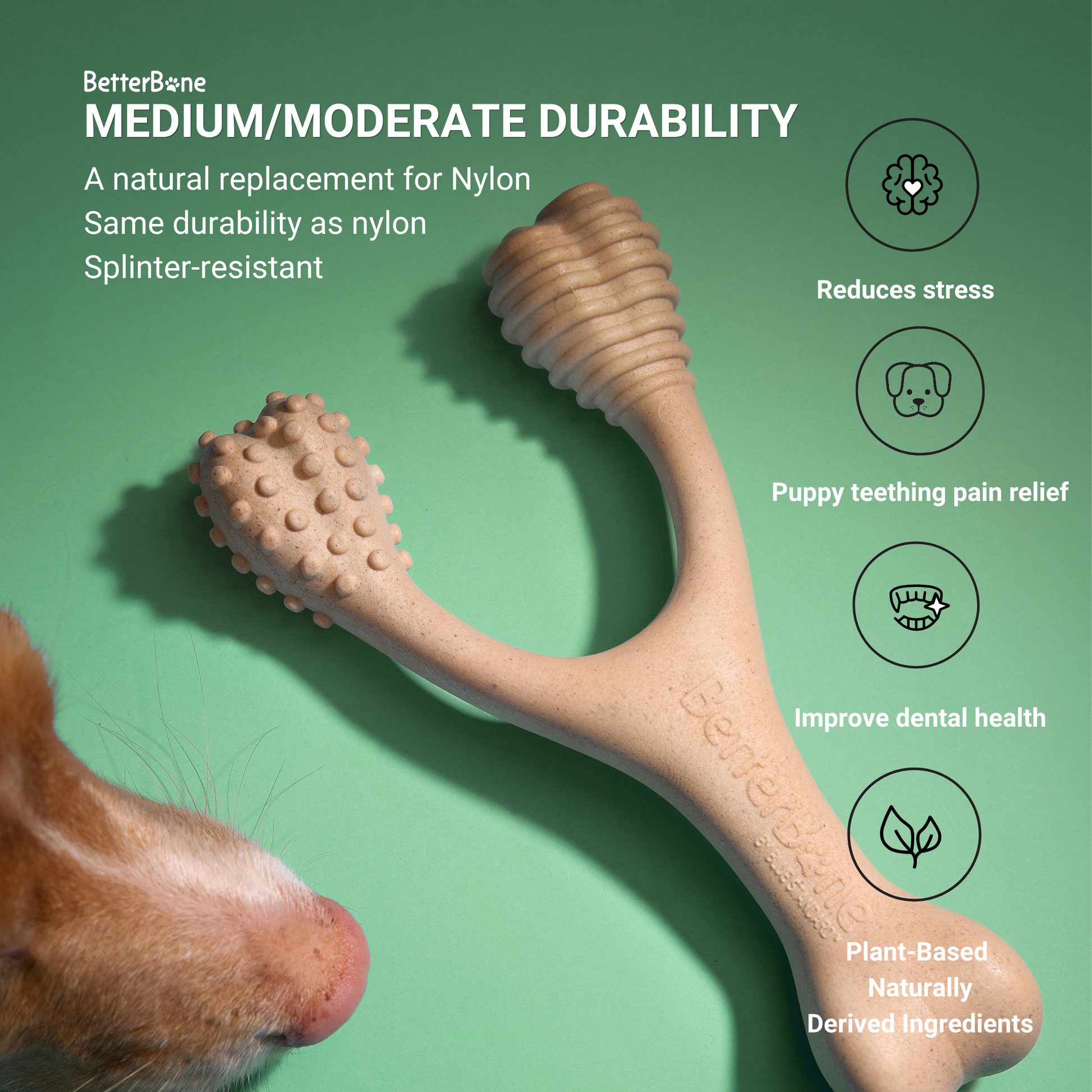 Medium durability BetterBone dog chew toy from BetterBone All Natural Eco-Friendly Dog Chews & Bones, designed for moderate chewers.