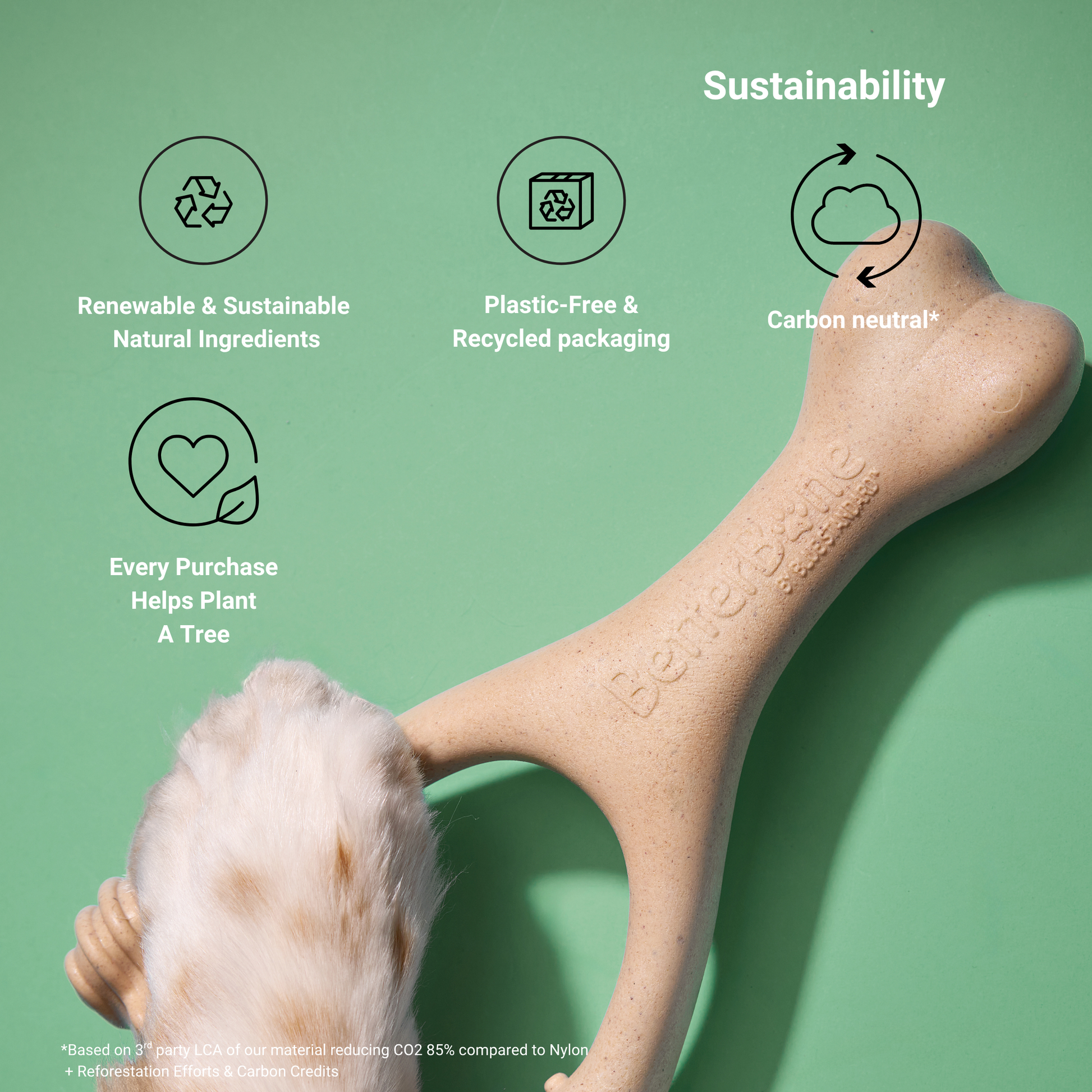 BetterBone Moderate dog chew toy from eco-friendly BetterBone All Natural Dog Chews, designed for medium-sized dogs.