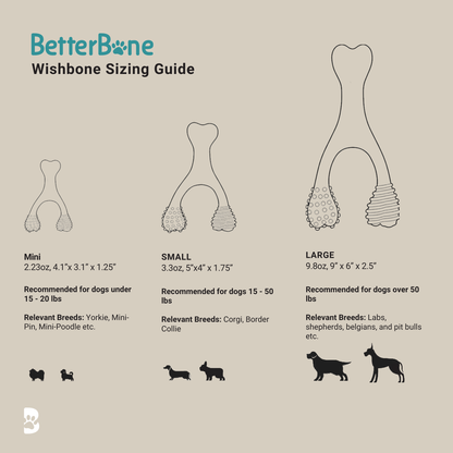 BetterBone Moderate Dog Chew Toy with size guide, eco-friendly natural rubber dog toy for moderate chewers.