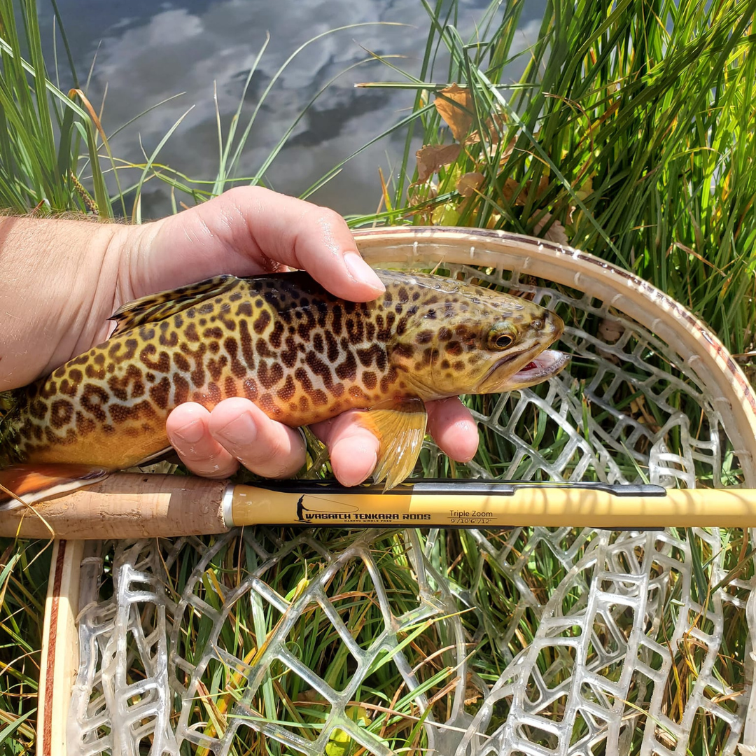 Hankyu Middle Fork