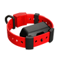 Training Collar Setup