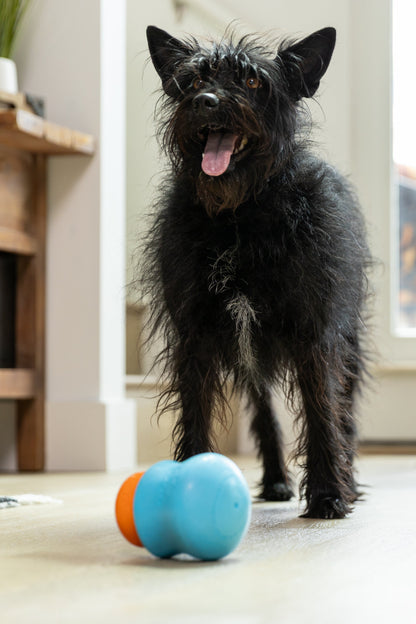 West Paw Toppl Fill & Fit Treats