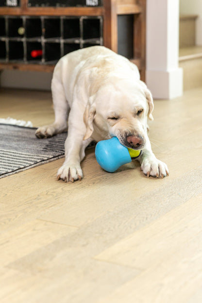 West Paw Toppl Fill & Fit Treats