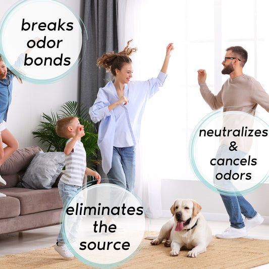 Zone Protects Odor Eliminator Twin Spray Bundle showing spray bottles breaking odor bonds for freshening indoor spaces.