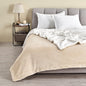 Velvet Plush Sherpa Blanket – Kinsley Collection
