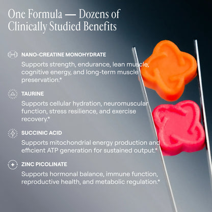 Arq8 Creatine Monohydrate Gummies in a clear container, showing colorful, chewable supplement gummies for muscle support and energy.