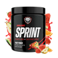 SPRINT